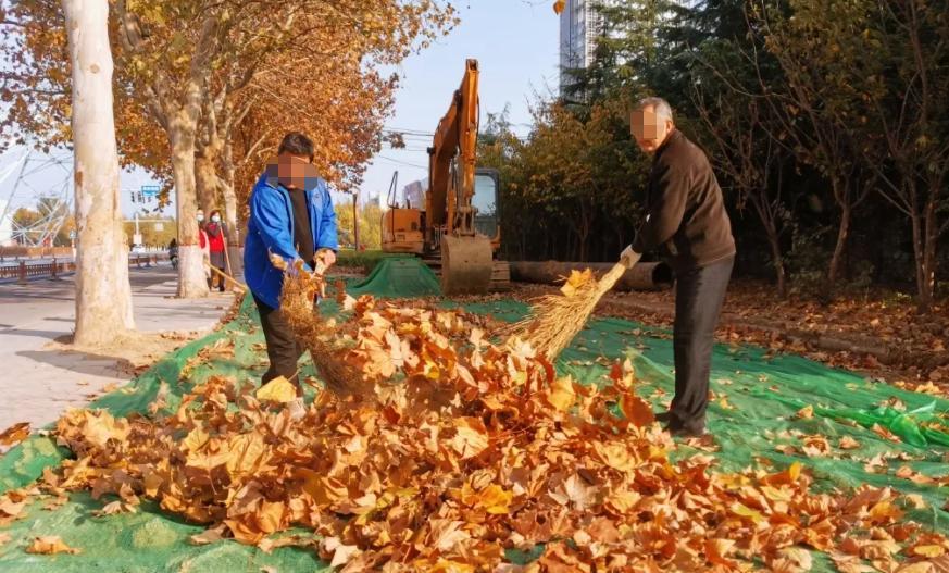 “薅羊毛”薅到树身上? 黑龙江某中学收取树叶费, 回应却撇清关系