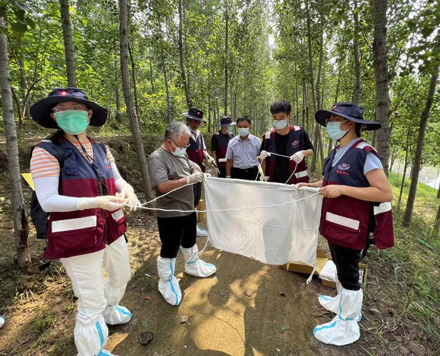 德州市疾控中心: 以专业力量助力病媒生物防控