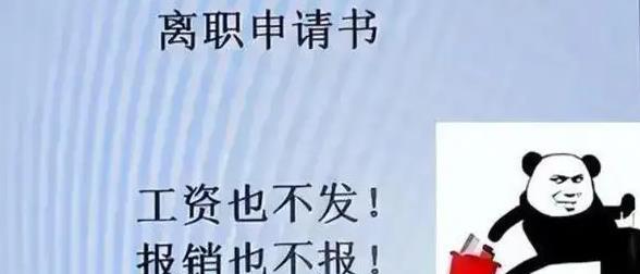 大学生“低水平”辞职信走红, 一点面子都没留, 老板: 要走赶紧走