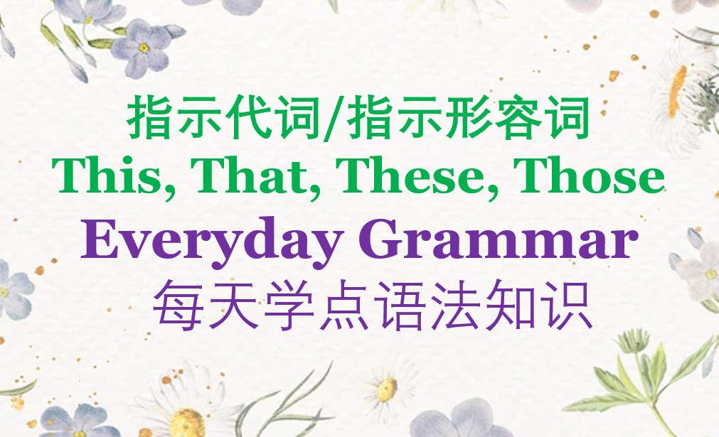 指示代词/指示形容词: This, That, These, Those