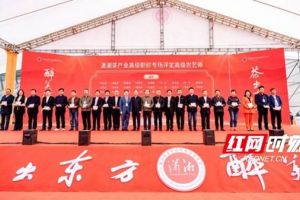从基层一线诞生的茶叶高级职称 潇湘茶高级职称专场首次评定32名高级农艺师