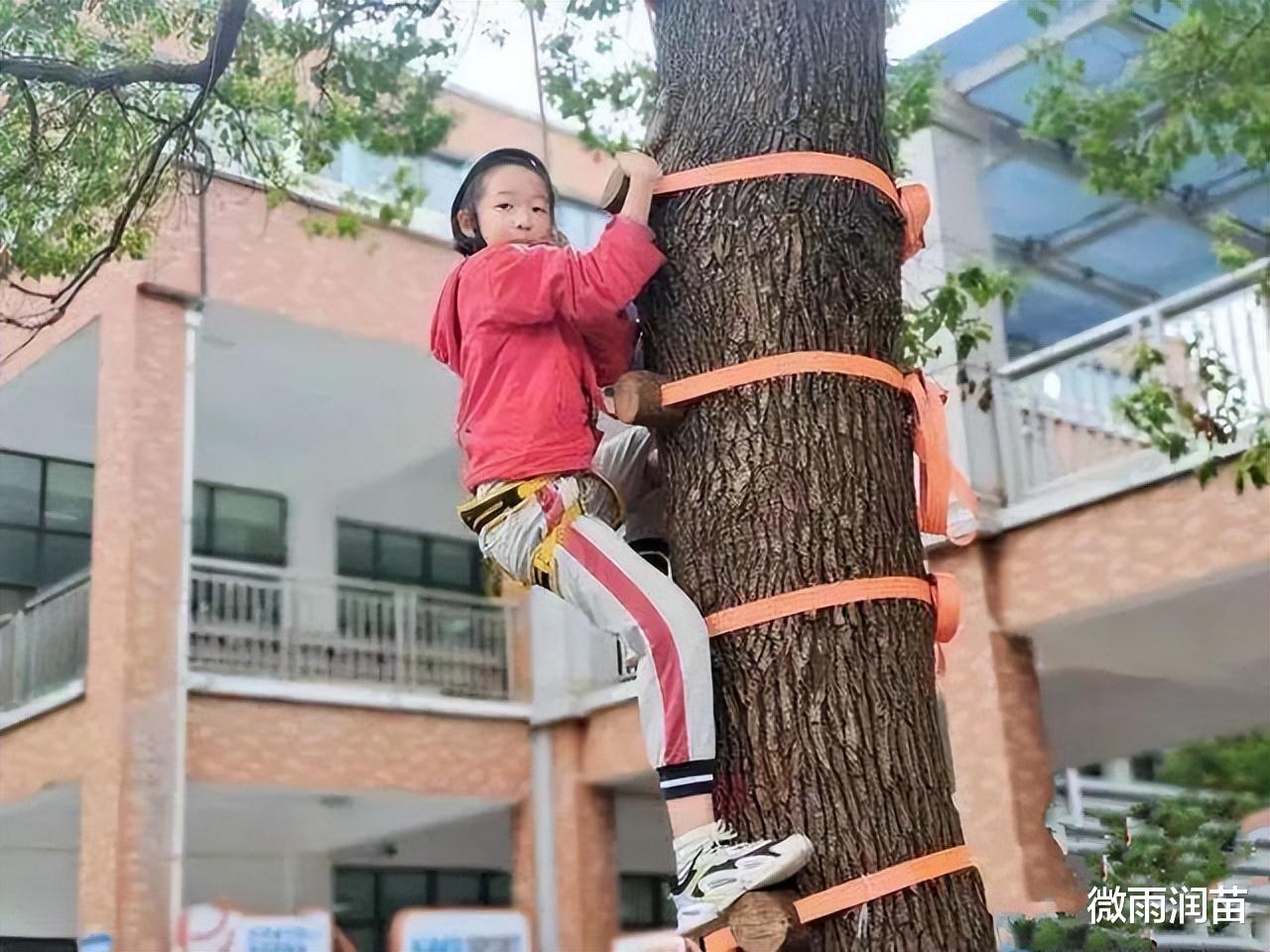 上体育课让学生学爬树？君子不立于危墙之下，要保障学生安全