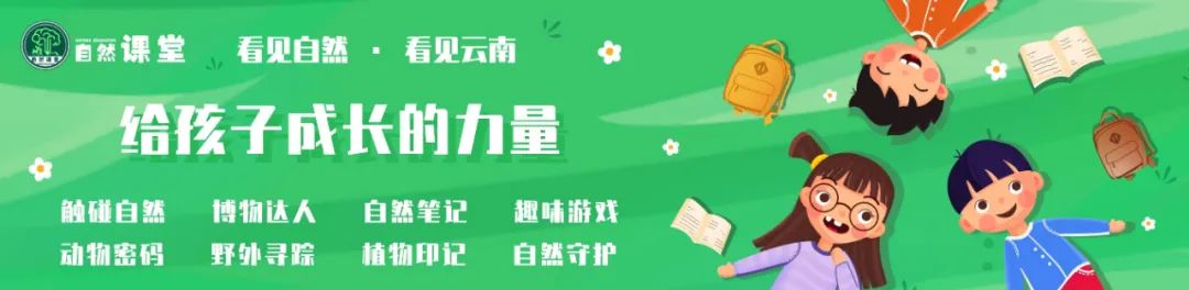 [科普进校]云南师范大学附属仁泽学校 · 认识可爱虎虎，走进生物多样性