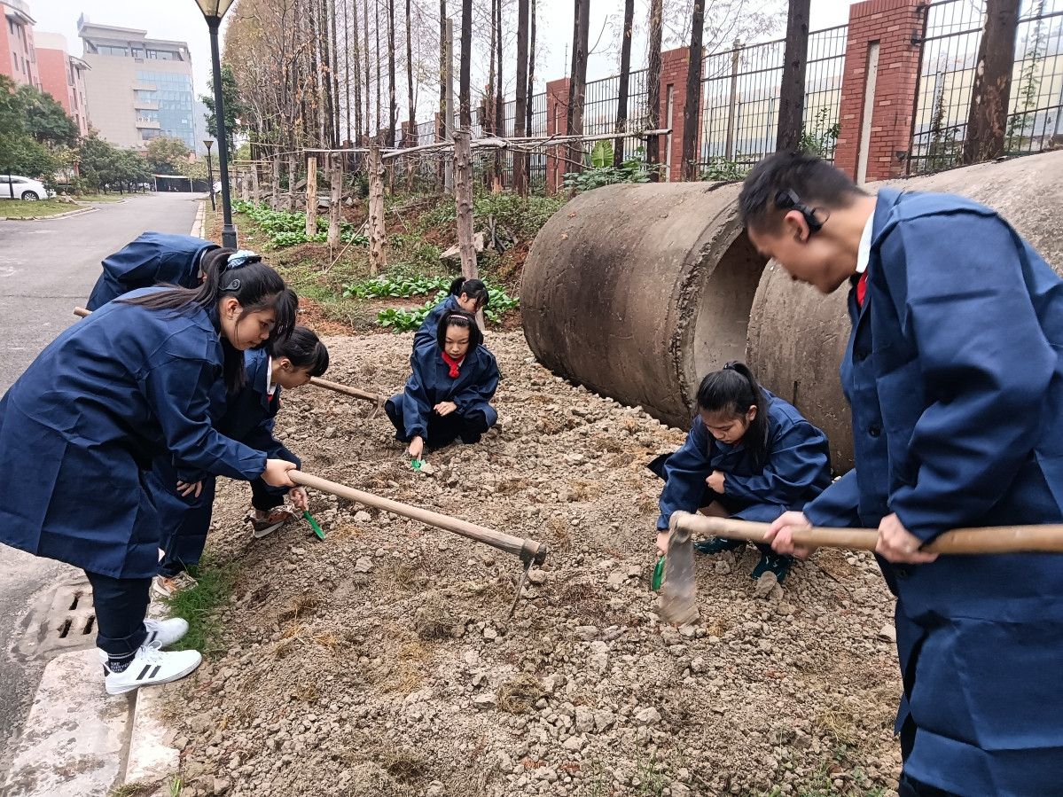 温州市特殊教育学校:把课堂搬到田间