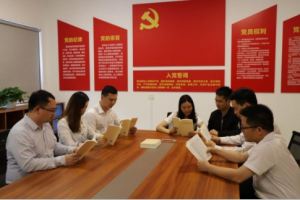 中国融通地产广西公司：推动党史学习教育走深走实