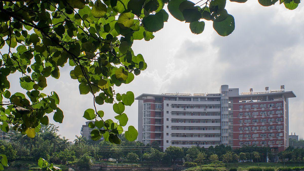 广东将迎来一所“新医科大学”, 当地考生坦言: 幸福有些太突然!