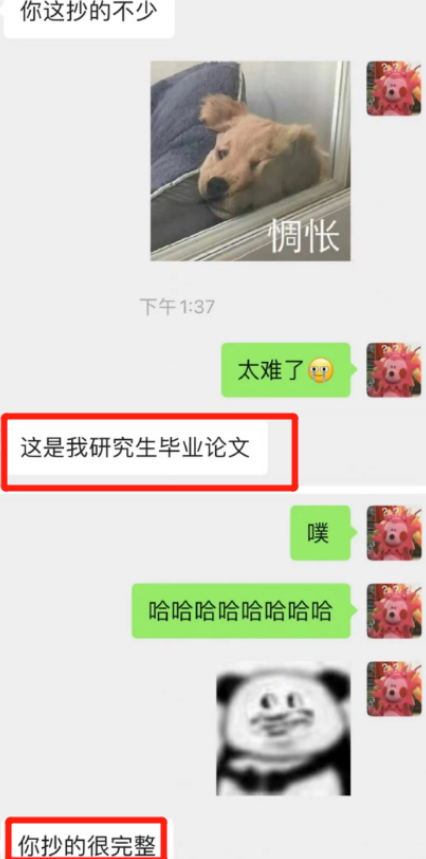 “你看起来最好骗”, 研究生和导师聊天能有多离谱, 看后憋不住笑