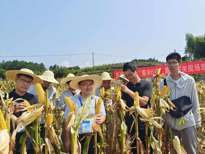 浙江农林大学与开化县开启全面战略合作