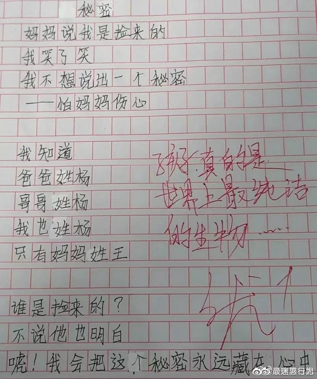 我不敢相信这是小学生的作