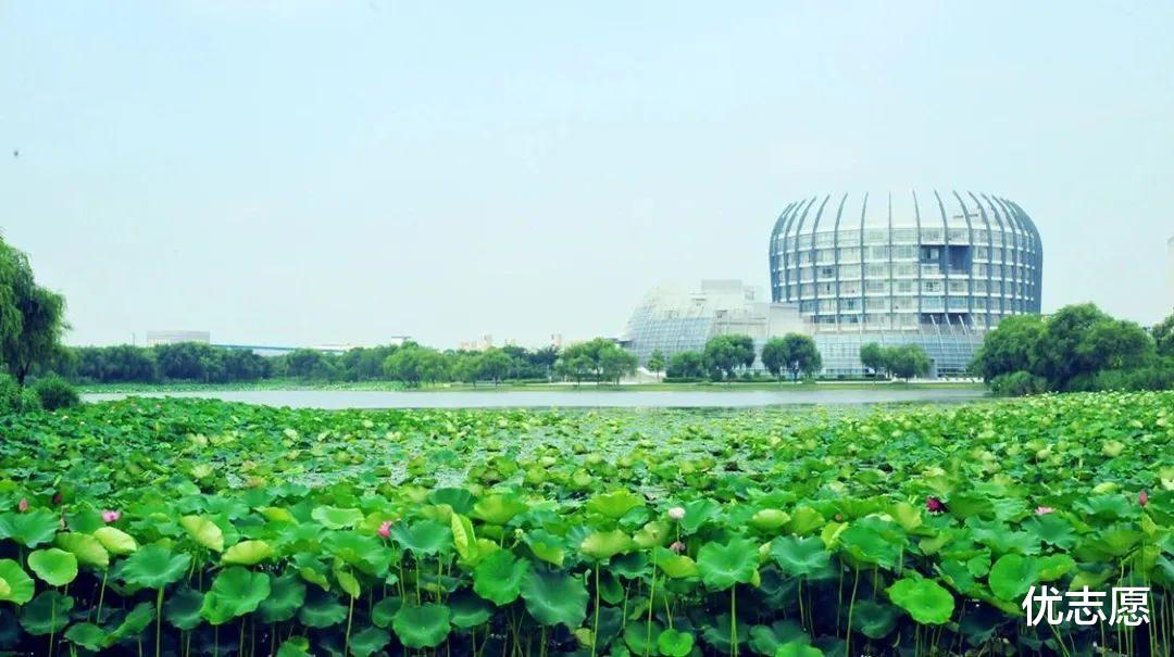 东南西北“四华”大学, 专业各有特色, 其中至少一所你可能没听过!