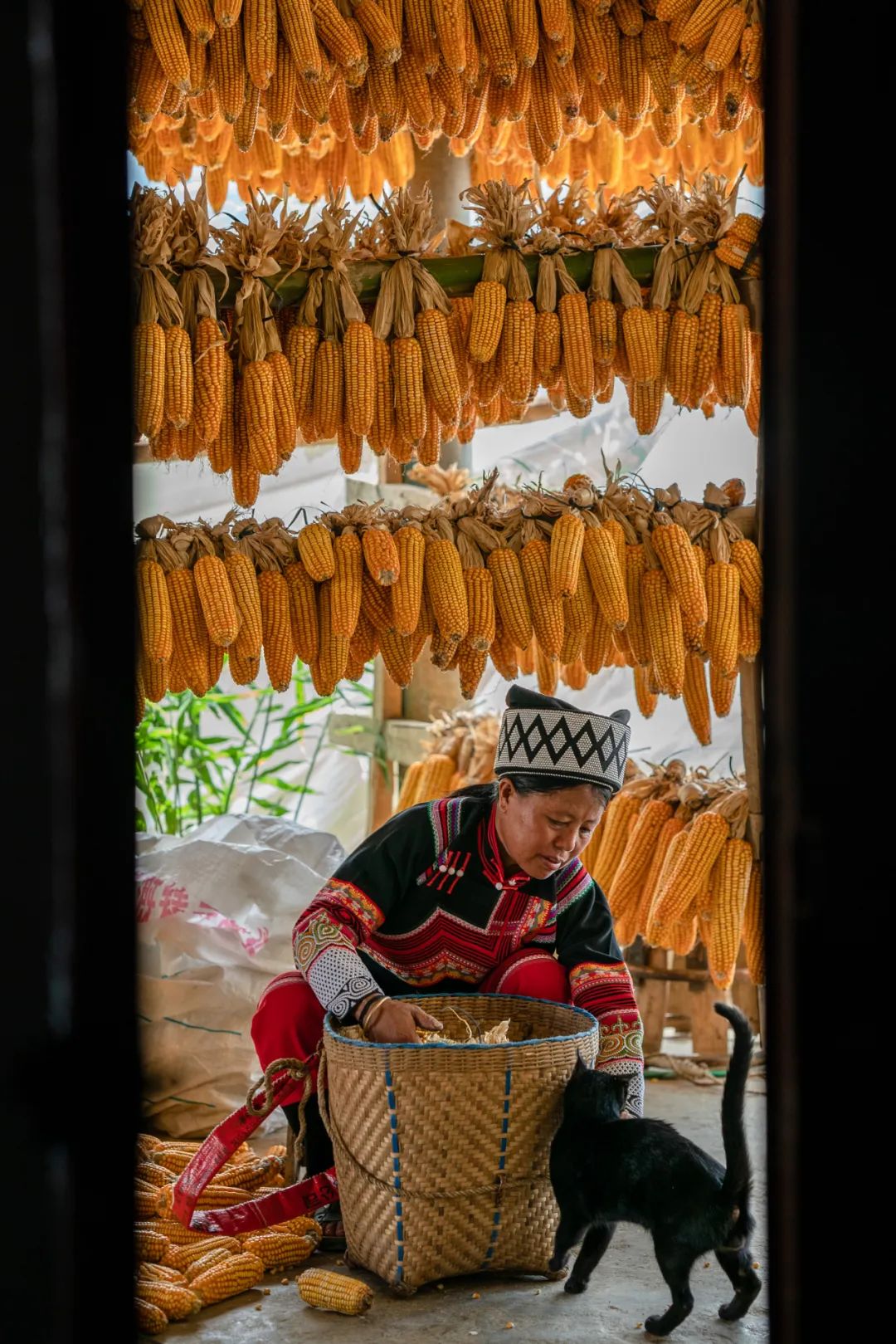 半月谈丨苦聪人, 有奔头