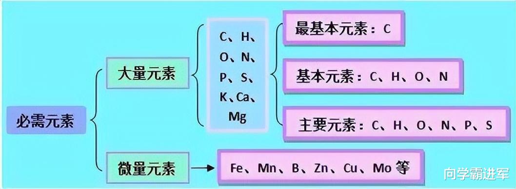 2023高考复习资料大全: 25张图, 涵盖
生物所有知识点