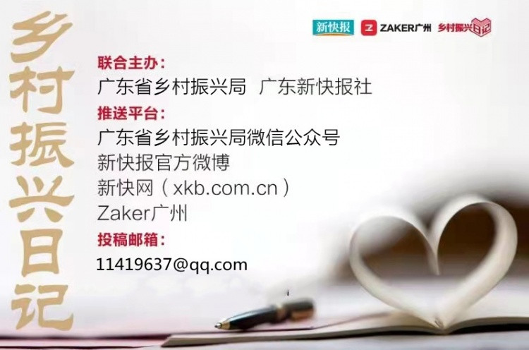 乡村振兴日记（621）从大学象牙塔奔赴乡村大课堂，让青春的汗水洒在广袤的田野上