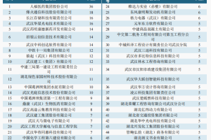 武汉工程大学和西安工程大学, 有哪些好专业, 报考性价比如何?