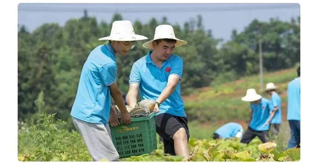 两会代表建议“大学生当农民”，“人之恶”如此昭然若揭！