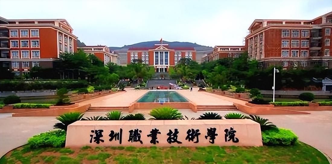 好荒谬, 深职院学生敢叫板211大学, 离开深圳的就业保护一文不值