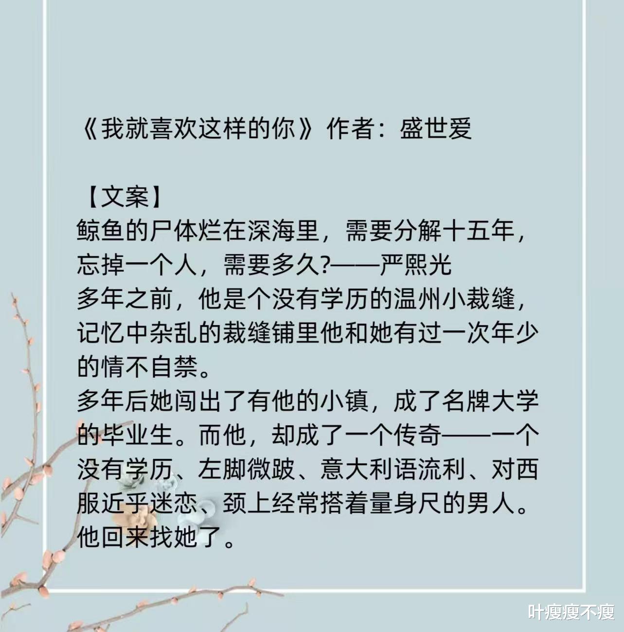 《我就喜欢这样的你》现言甜宠: 小镇裁缝和天之骄女破镜重圆