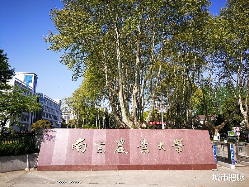 南京高校排名引争议: 挤掉南航南理河海, 南京农业大学才是老三?