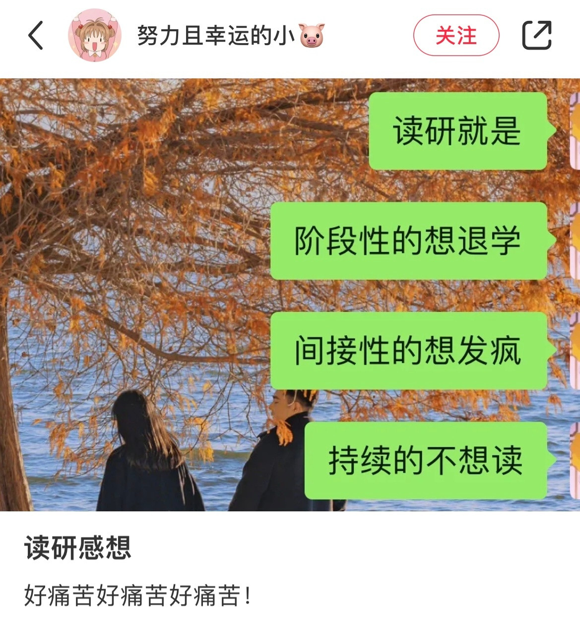 能劝一个是一个丨读研需谨慎❗️原来真的不是每个人都适合读研​​​