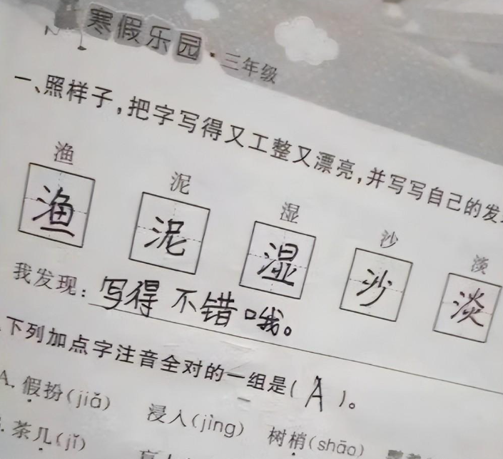 小学生“豆腐渣式”作业走红, 对不对的是不知道, 但反正我没空着