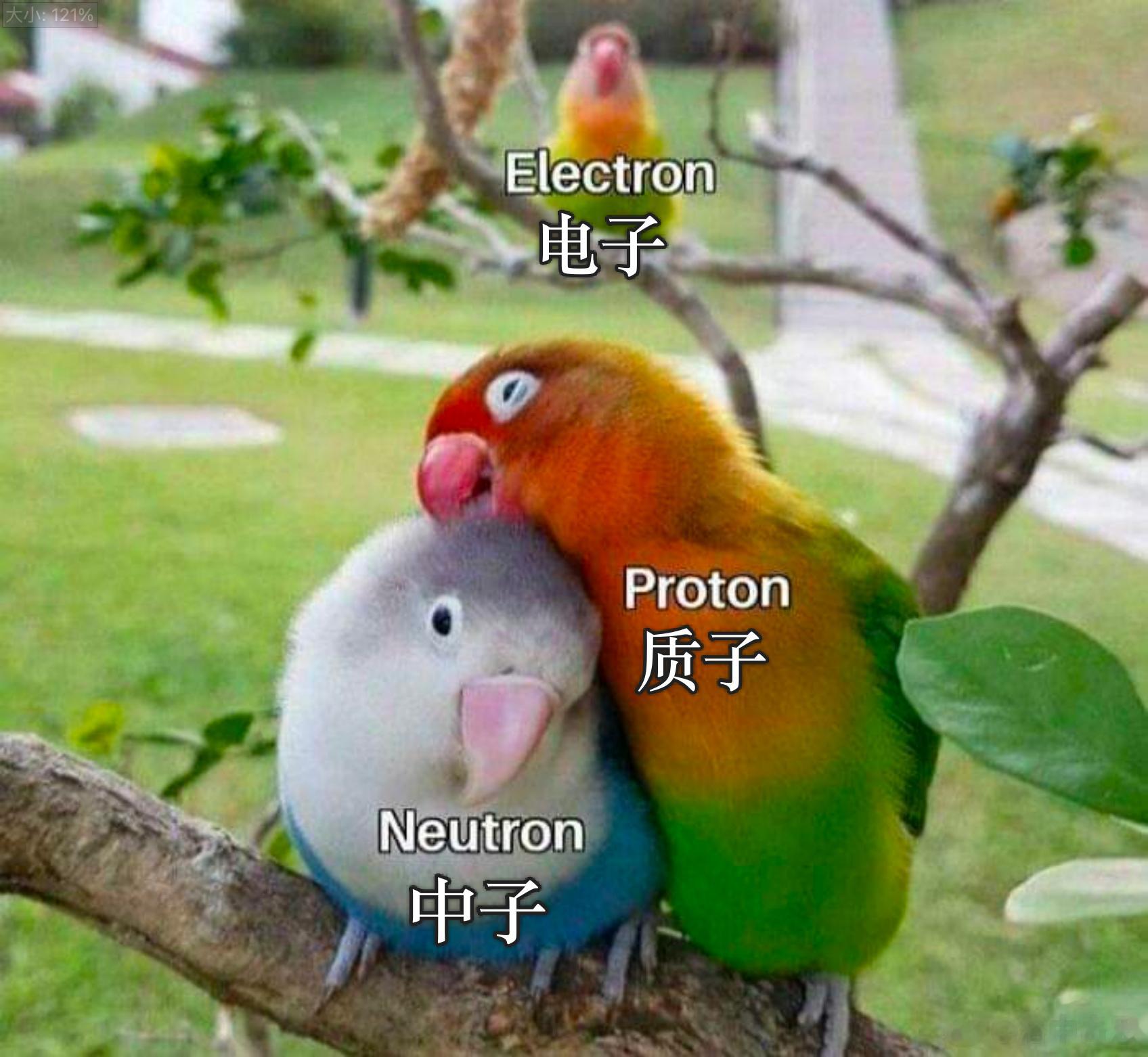 物理白学了！（此处有双关）/r/sciencememes/版#网图放送tim