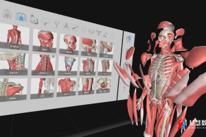 人体断层解剖软件: 探索数字化教育的辉煌之路