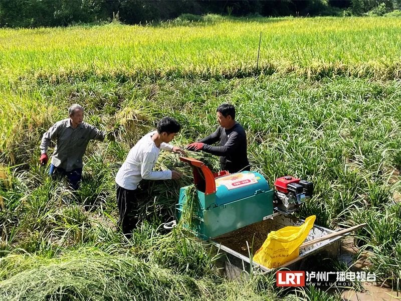 打谷子小伙收到985录取通知书! 曾一个人默默哭……