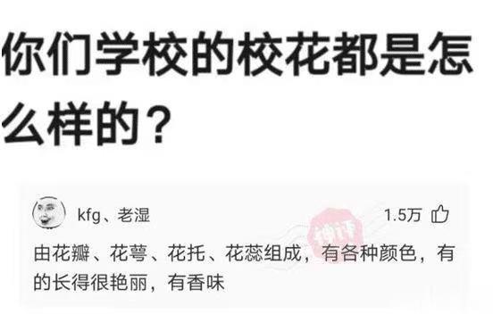 你们学校的校花是什么样的？​​​