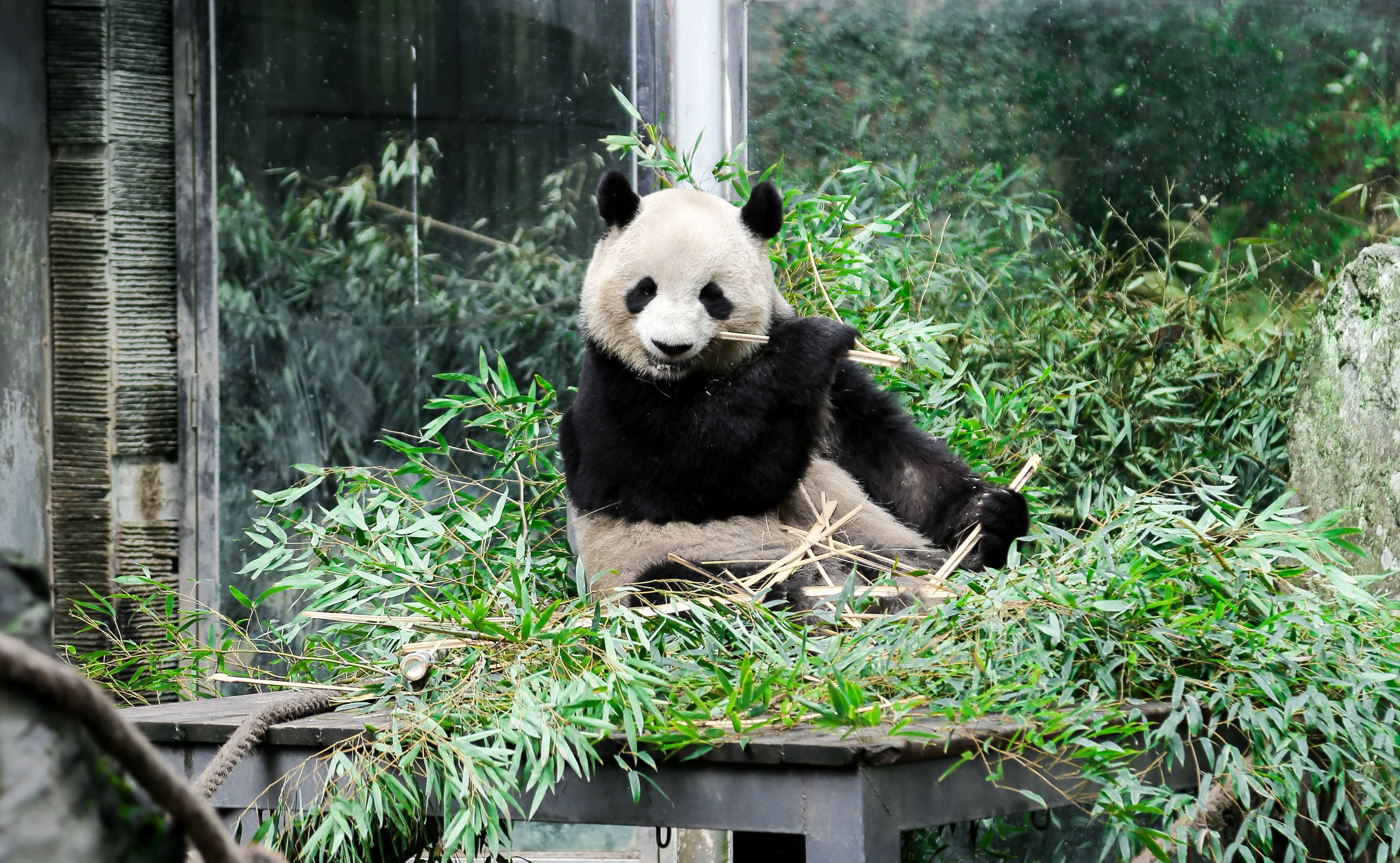 聚师网讯: 教育行业的现状与未来展望