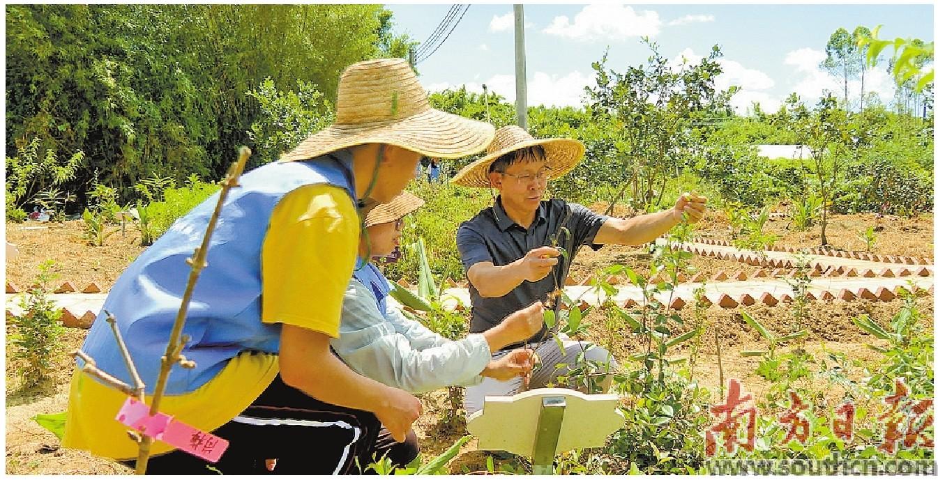 阅读热研学火实践忙