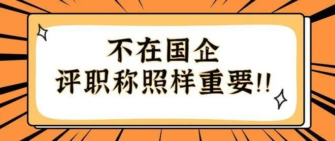 私企与国企: 职称评审的区别与联系