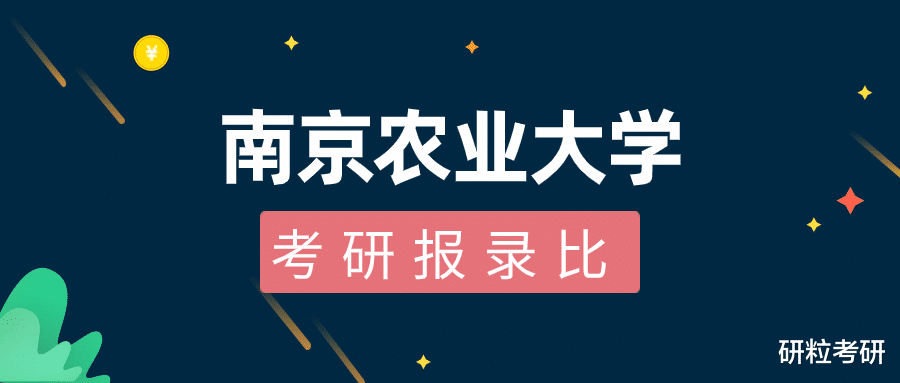 南京农业大学2023年考研报录比