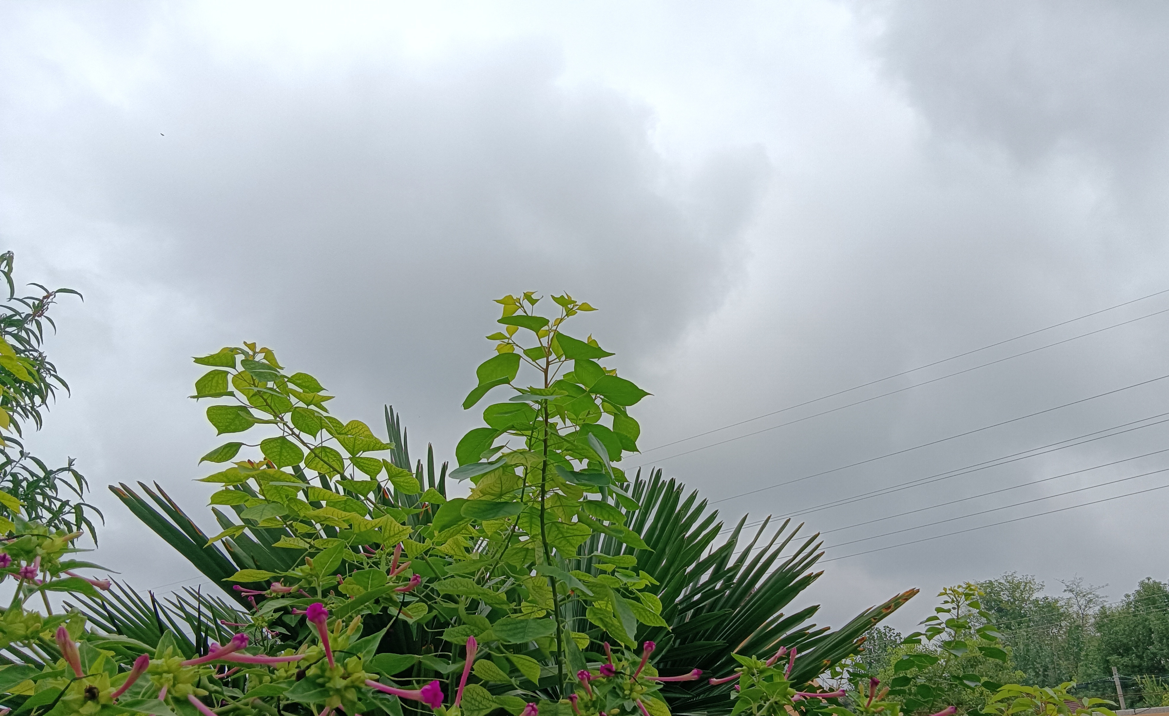 教师奖励性绩效工资不用年终考核也随月发放是不恰当的, 需要纠正