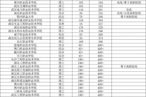 2023湖北高职院校排行: 武汉职业技术学院排名第一, 而它排在第二