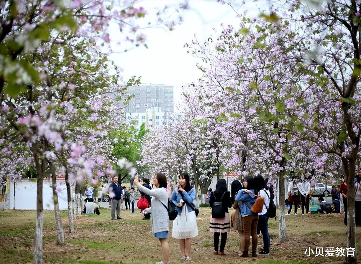 银行2023招录名单, 网友被“高门槛”吓到, 硕士研究生只是门槛