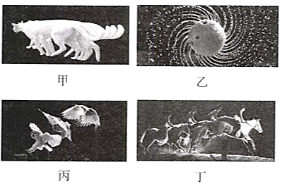 1.1质点 参考系—2021-2022学年高一物理人教版(2019)必修第一册随堂检测1