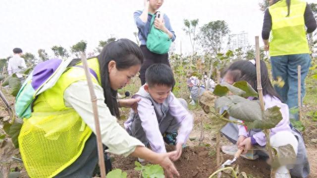 常德市中小学生综合实践教育中心，孩子研学的好地方