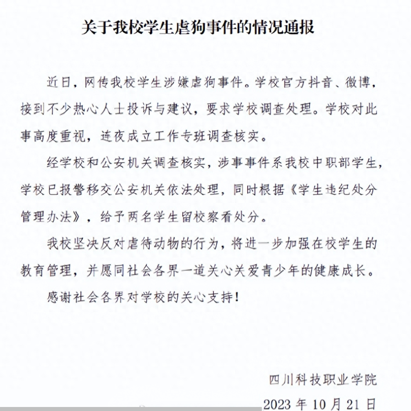 残忍! 四川2名高校生宰杀并肢解流浪狗, 处罚结果出来了