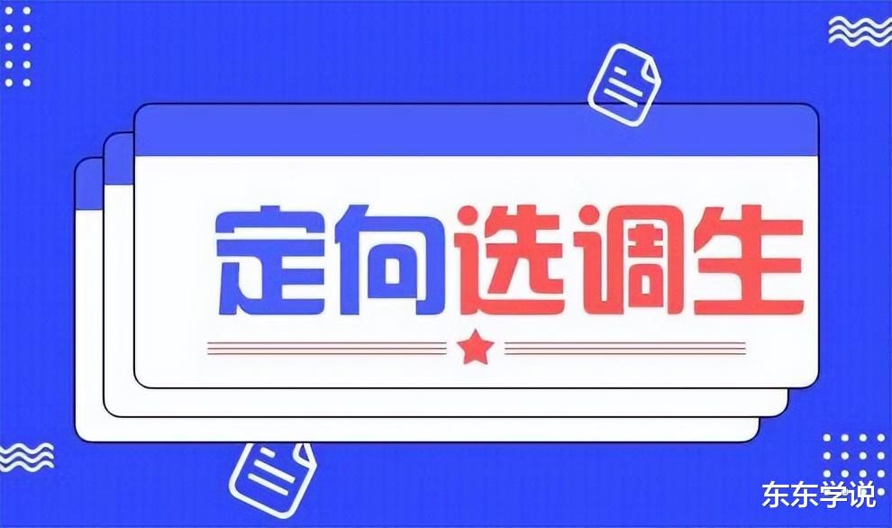 某人的孩子回来了, 留学生进定向选调生被吐槽, 网友表达多重担忧