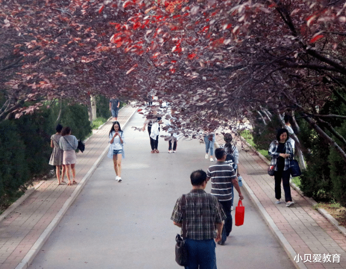 各地考公“难度”排名, 分为4大级别, 山东堪比“决战之巅”级别