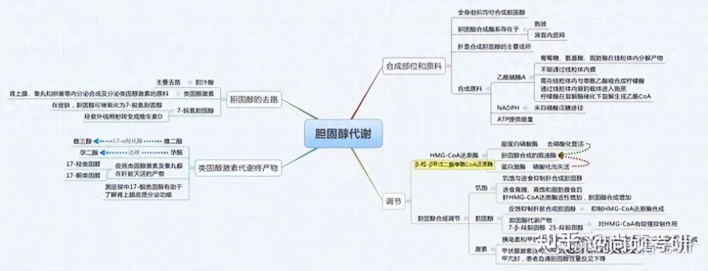 专业课背到头晕, 快来看看这5大背诵技巧对你有没有帮助!