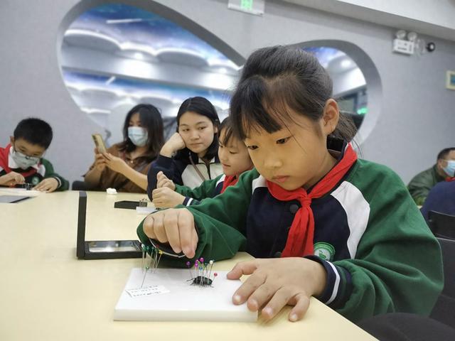 课后服务时间, 小学生“泡”在这里体验昆虫世界