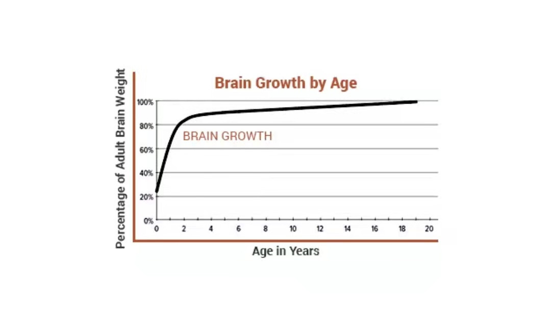 课上了, 题刷了, 英语依旧提不起? 班主任: 方法不对, 努力白费