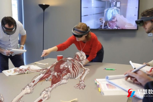 人体虚拟仿真实验室: 未来医学教育的探索之旅