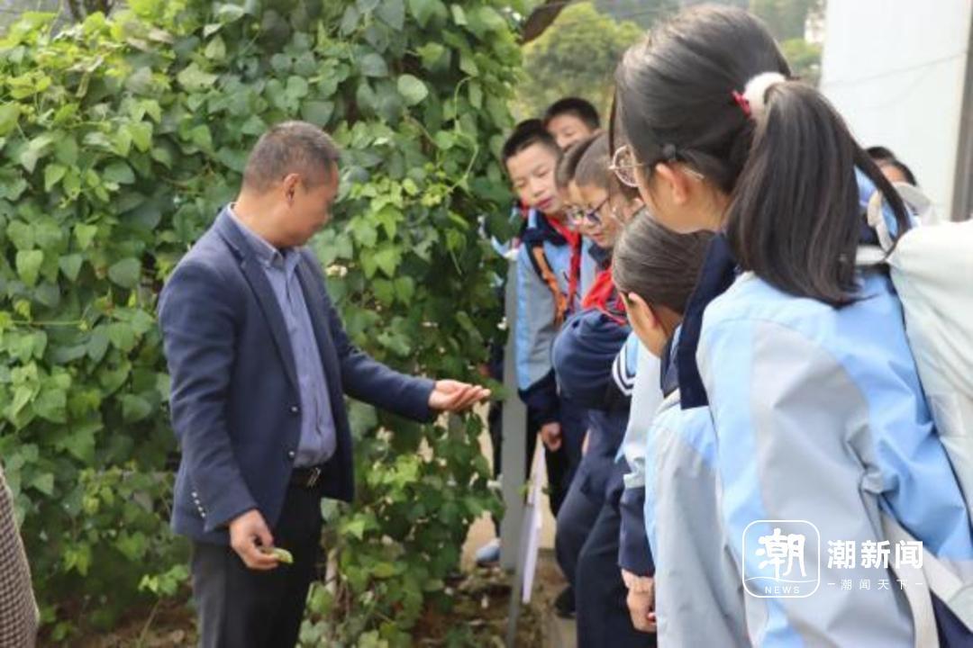 跨越山河! 这两所中学开展教共体活动