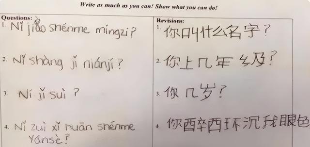真不理解“意思”的意思, 外国学生学习中文, 精神状态已“癫”