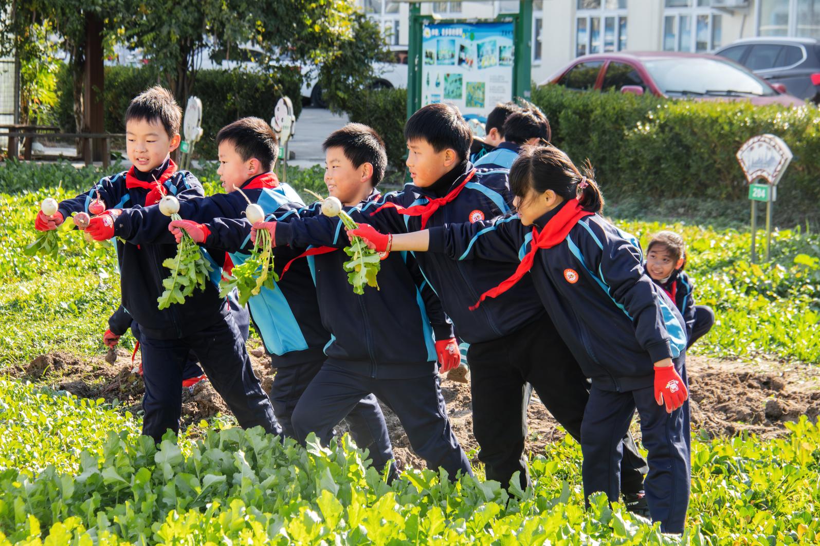 嘉得利x双甸小学田野课堂: 手心传承, 耕读教育的力量