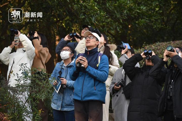 他们在看啥? 观鸟!