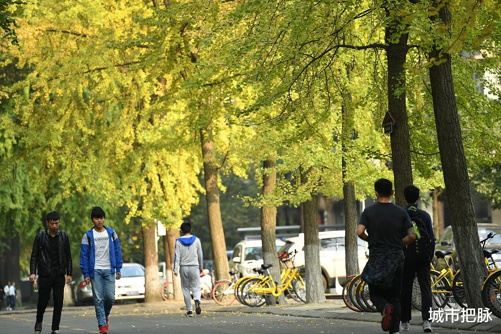 看了电子科技大学在四川的待遇, 怪不得西安电子科技大学要去杭州