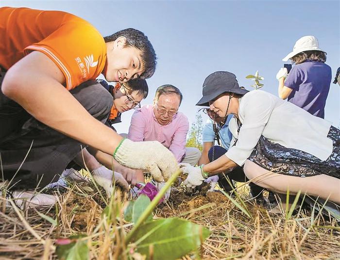 坝光自然学校携手南科大和福田小学 共探自然教育新路径